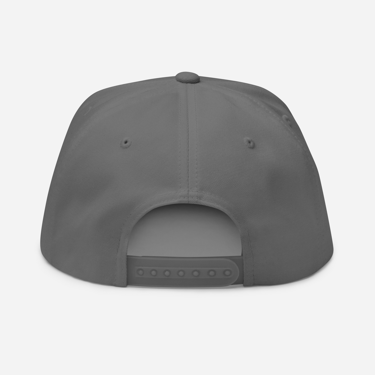 Risk It Flat Bill Hat/Gray