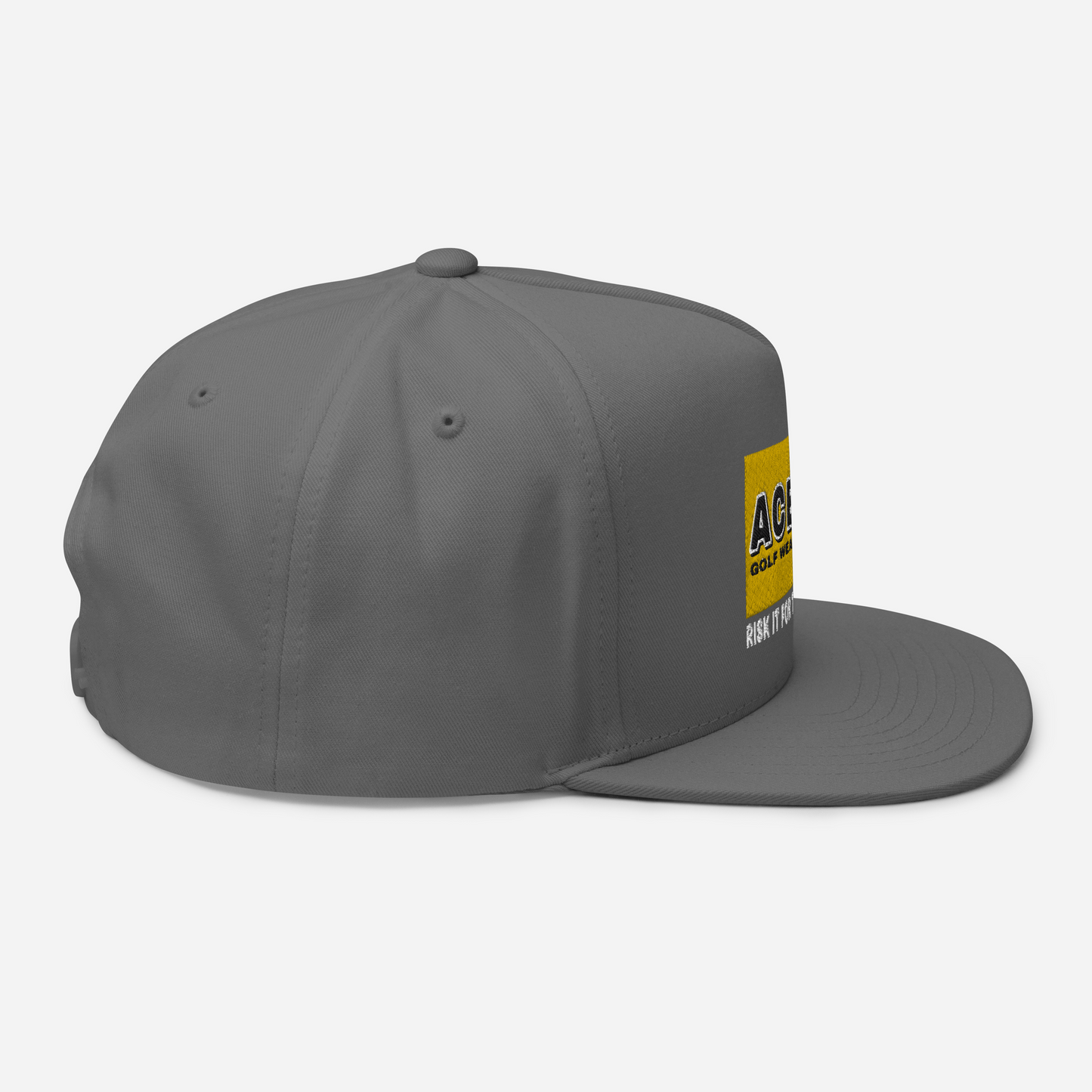 Risk It Flat Bill Hat/Gray